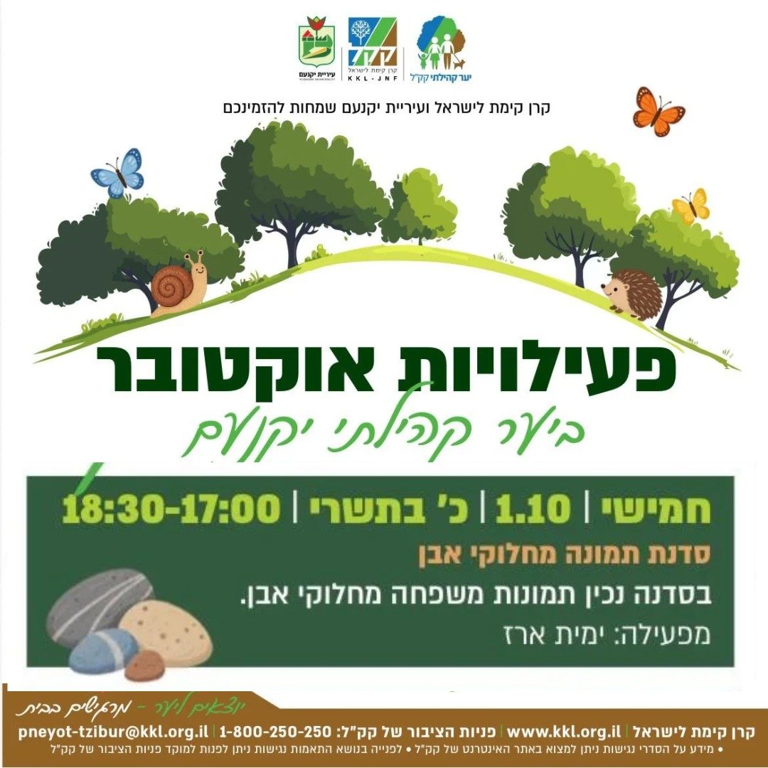 סדנת תמונה מחלוקי אבן עם ימית ארז