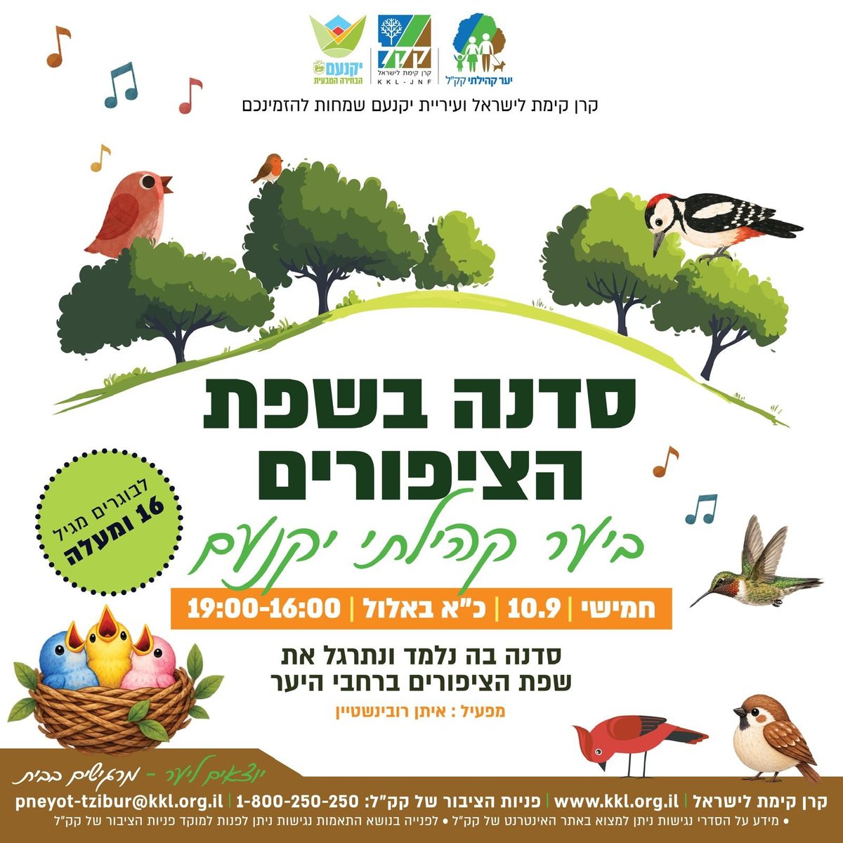 סדנה בשפת הציפורים