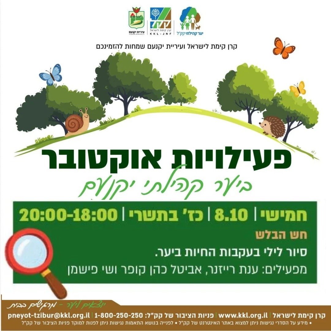 חש הבלש בלילה